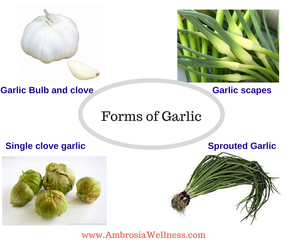Garlic health benefits, uses of garlic, forms of garlic and more